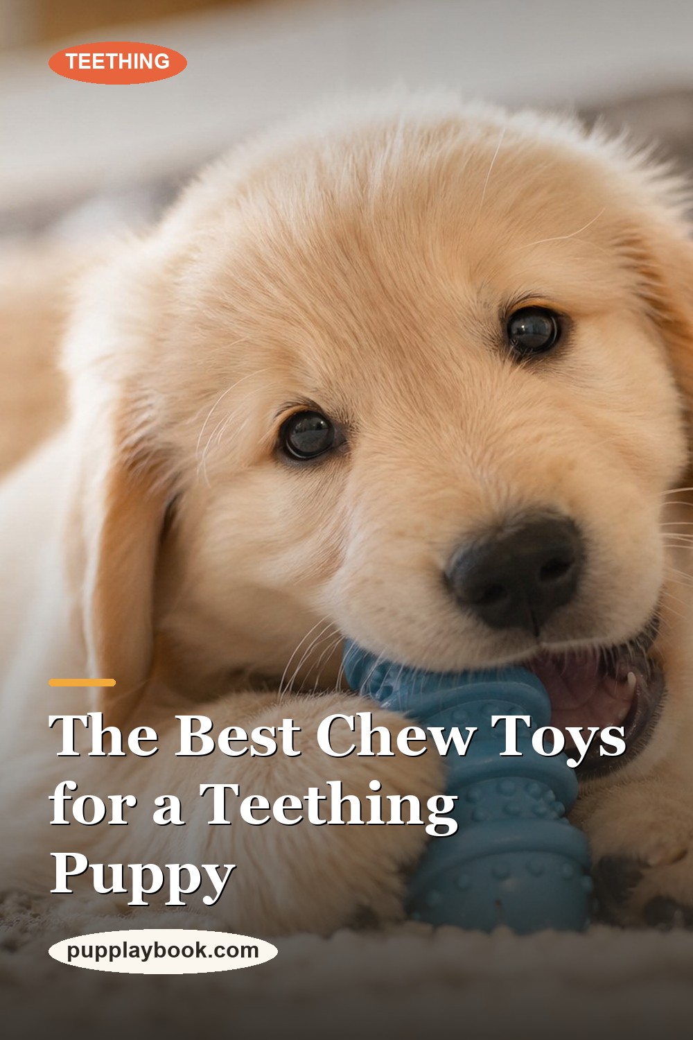 Best Chew Toys for Teething Puppies