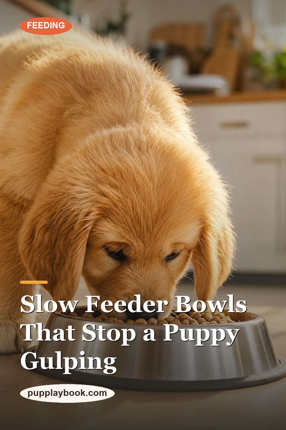 Best Slow-Feeder Bowl for Puppies (Slow the Gulping)